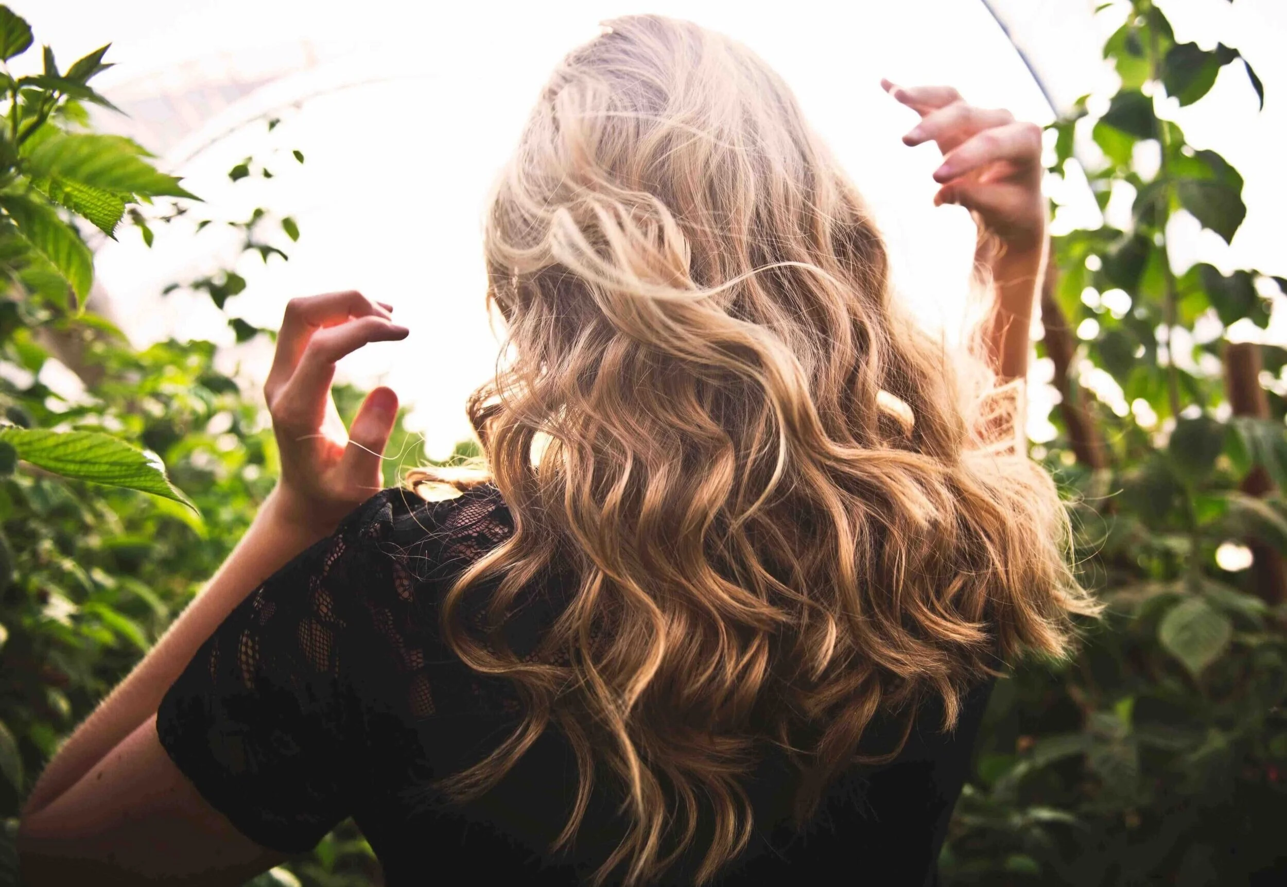 Hair Salon Westminster CO Services + Specialties — Do or Dye