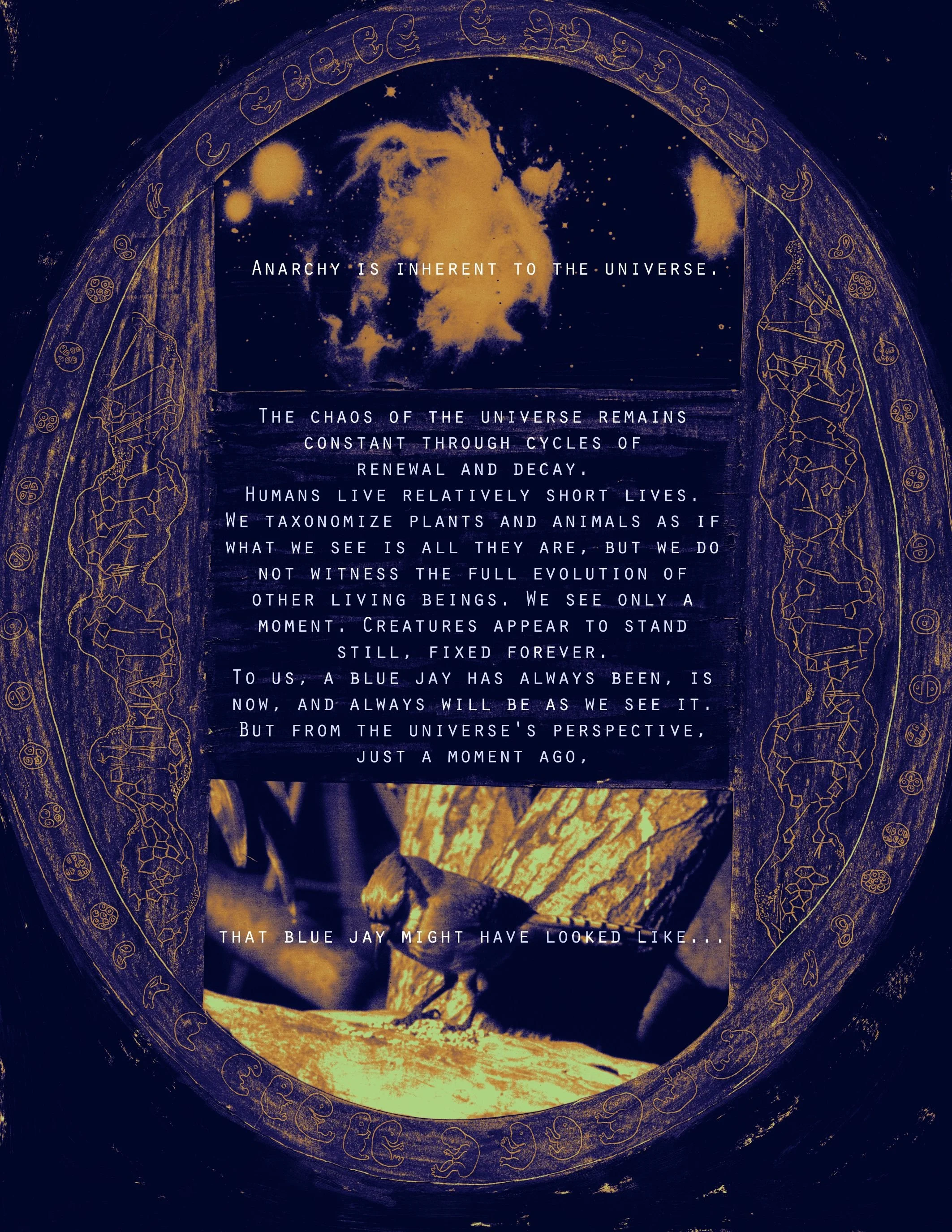 CLI ECOADI Page1 small.jpg