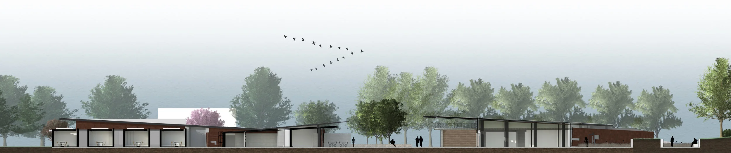 Site + Building N-Section