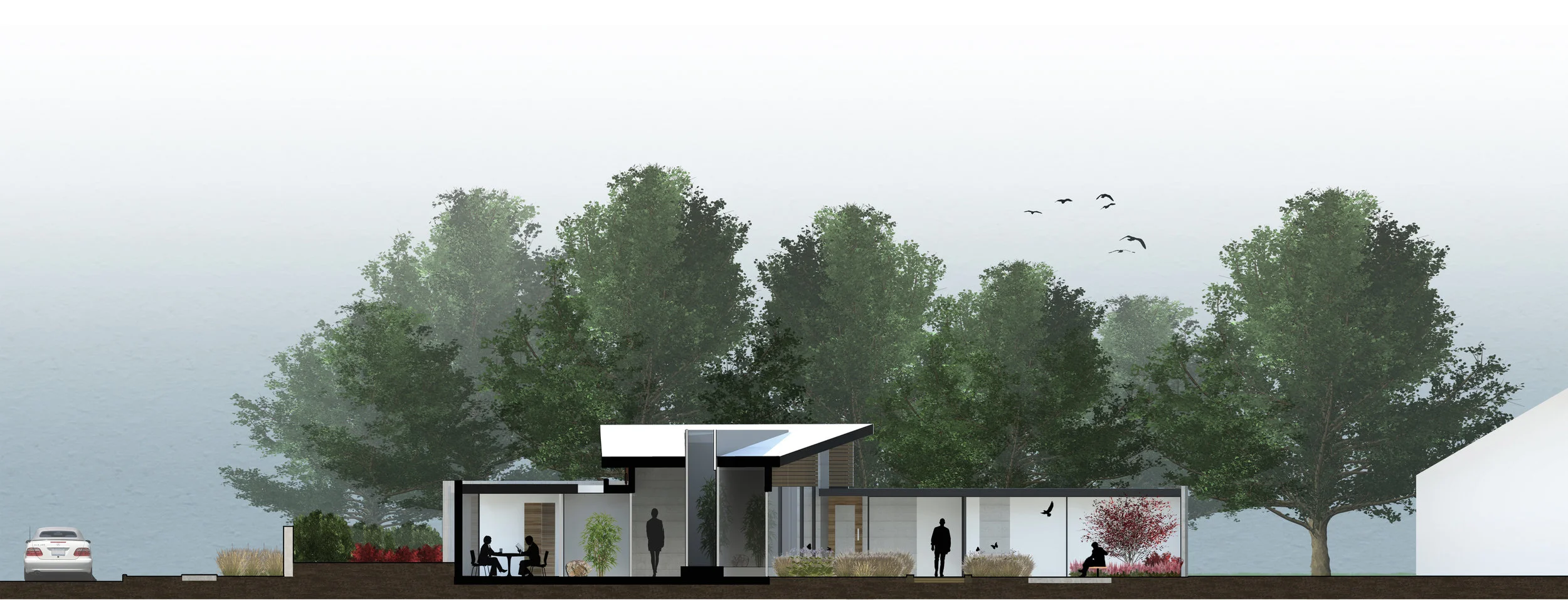 Site + Building W-Section