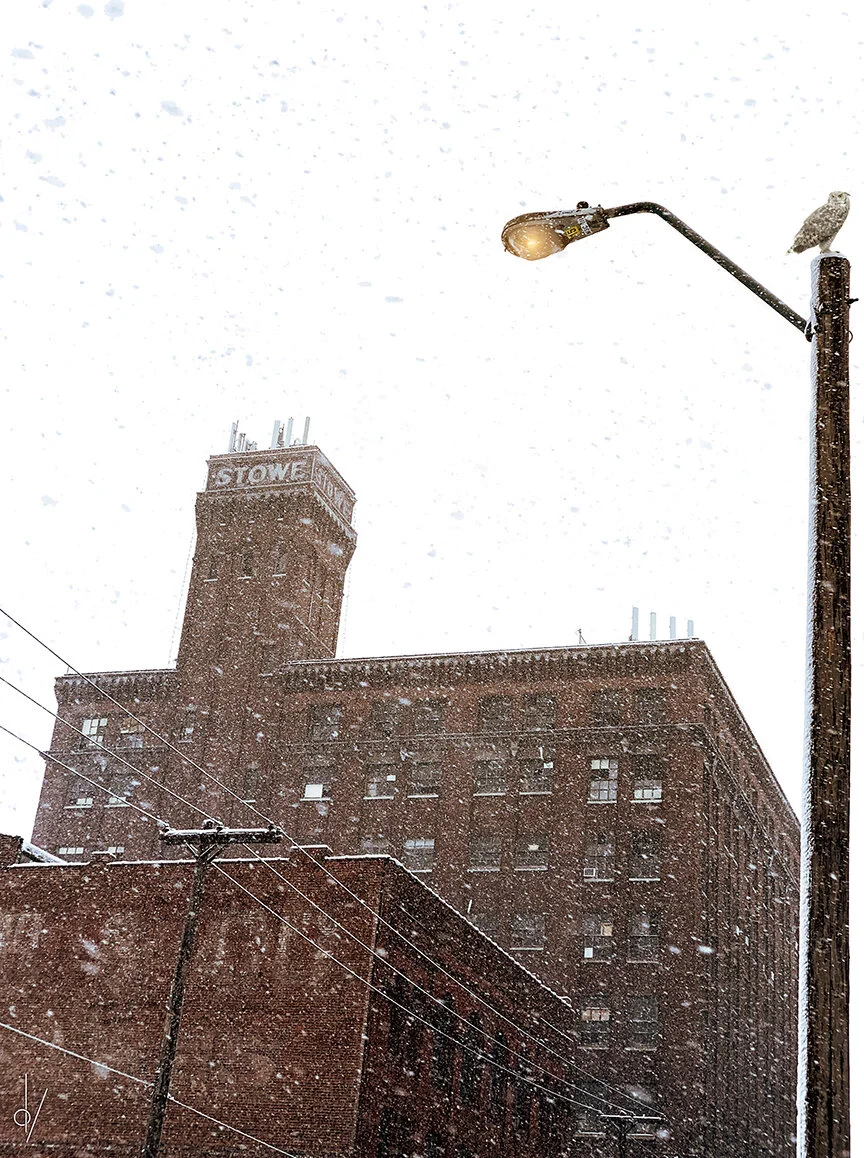 Stowe_snow_small.jpg