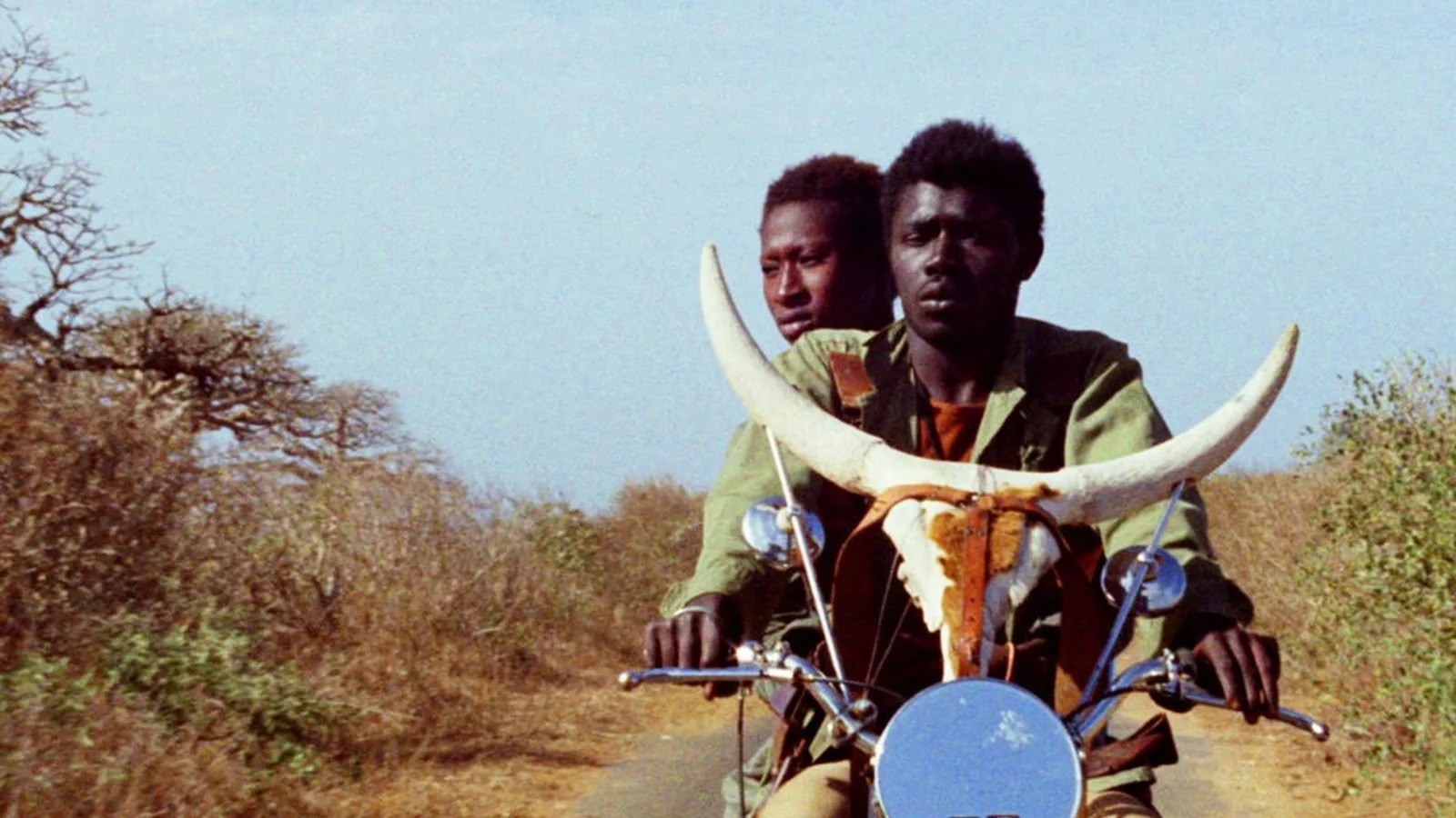 This Week in Screenings 7/14-7/20