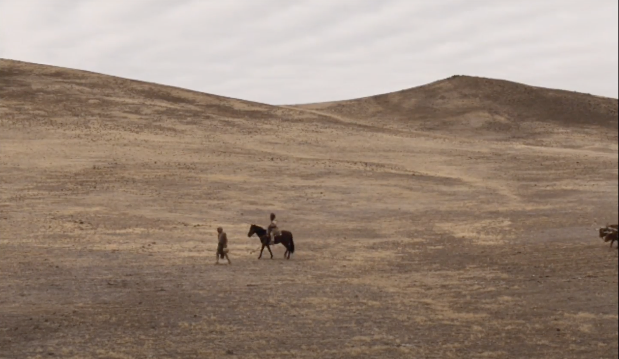 Social Realism, Regionalism, and the films of Kelly Reichardt 