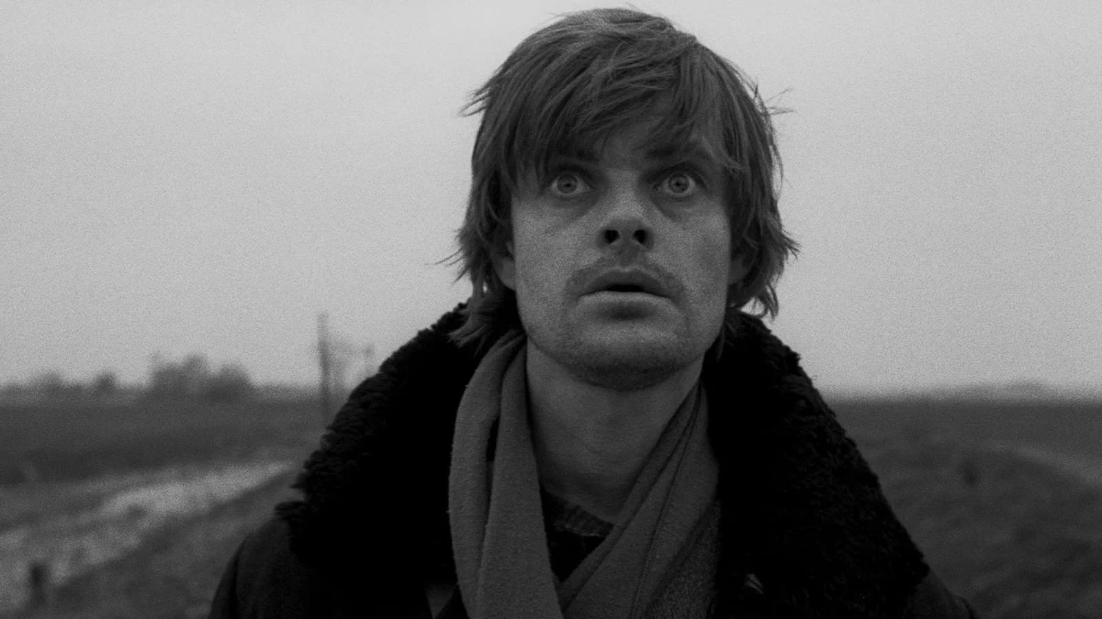 This Week in Screenings 8/25-8/31