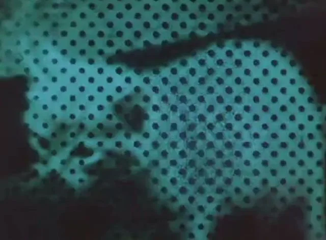 Six Cat Videos by Icons of Experimental Film