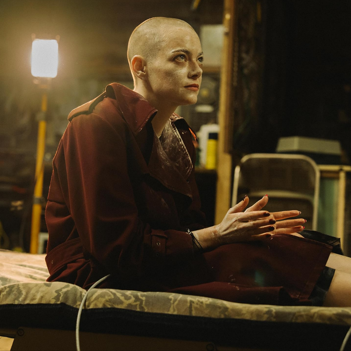 Lanthimos's Kidnapping Chronicle Strikes a Chord: Bugonia Review