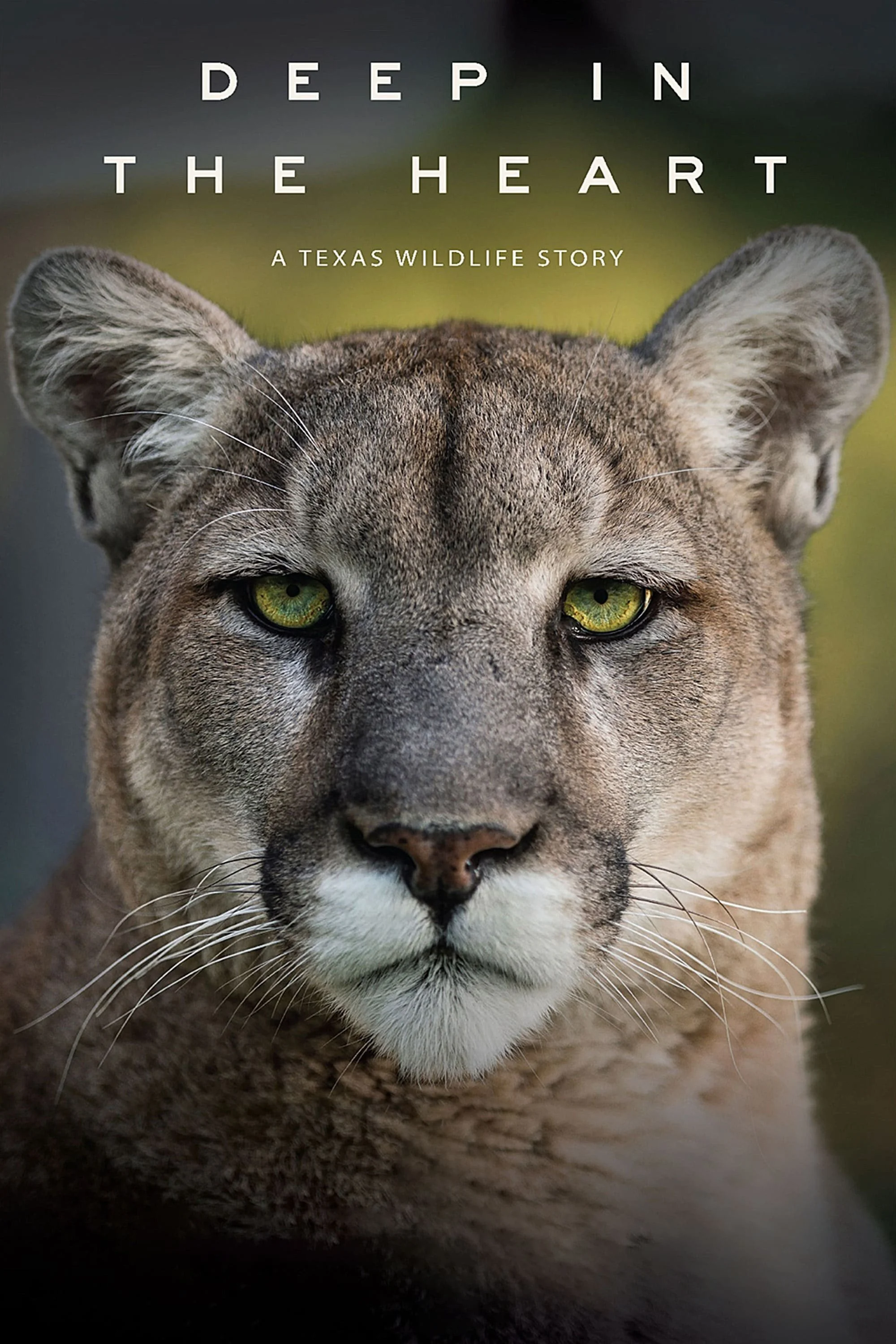 McConaugheMay Day 22: Deep in the Heart: A Texas Wildlife Story