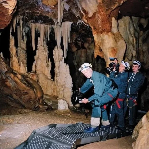 This Week in Screenings 4/10-4/16