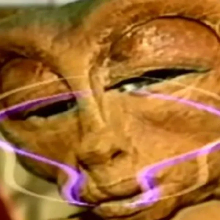 Weird Wednesdays: Homoti