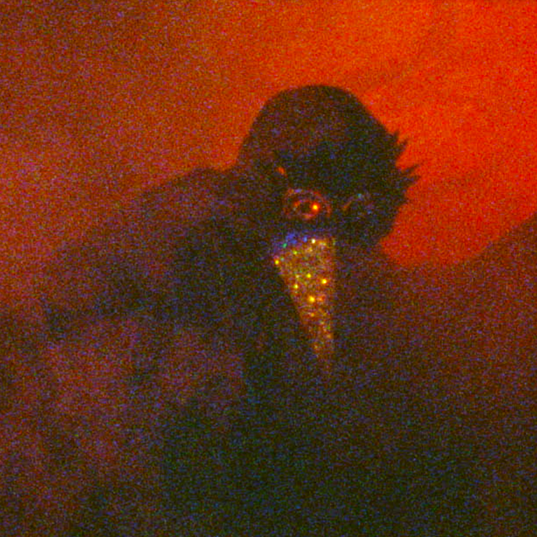 BEACON OF FLESH ~ DZ Roadshow at HYPERREAL FILM CLUB