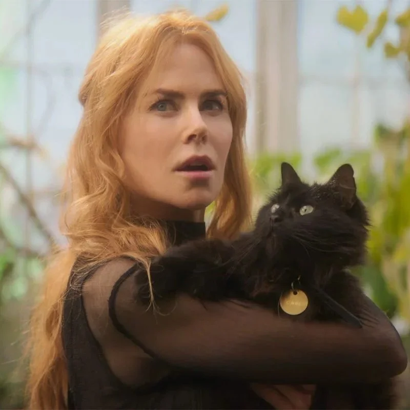 “All of the fire, none of the flame”: Practical Magic 2 Falls Into the Nostalgia Trap
