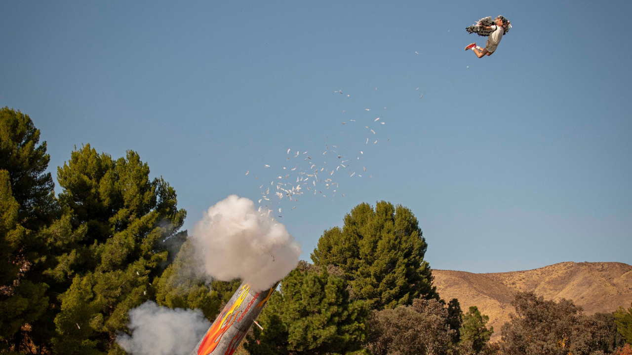 Johnny Knoxville being shot out of a cannon into the air, wearing large wings made out of feathers.