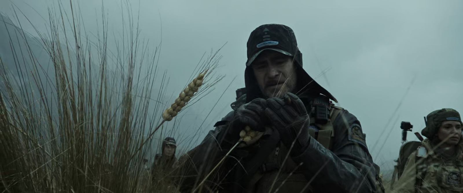 A man stands in a field of wheat and studies a stalk of it. Two others stand in the background.