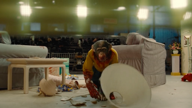 The first shot of the film 'Nope' depicts Gordy the chimp bloodied and walking towards an unseen viewer behind the camera.