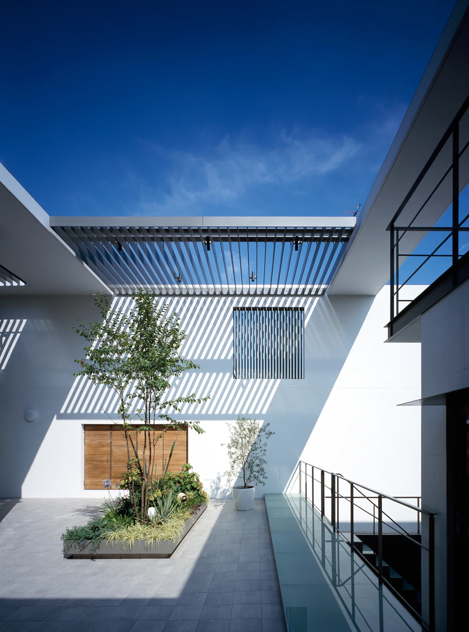 Mhouse_12.jpg