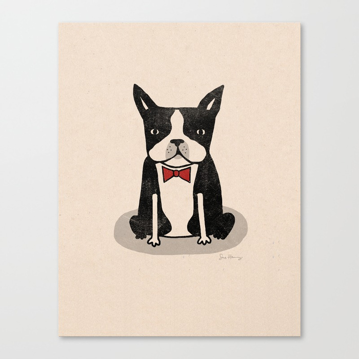 boston-terrier894929-canvas.jpg