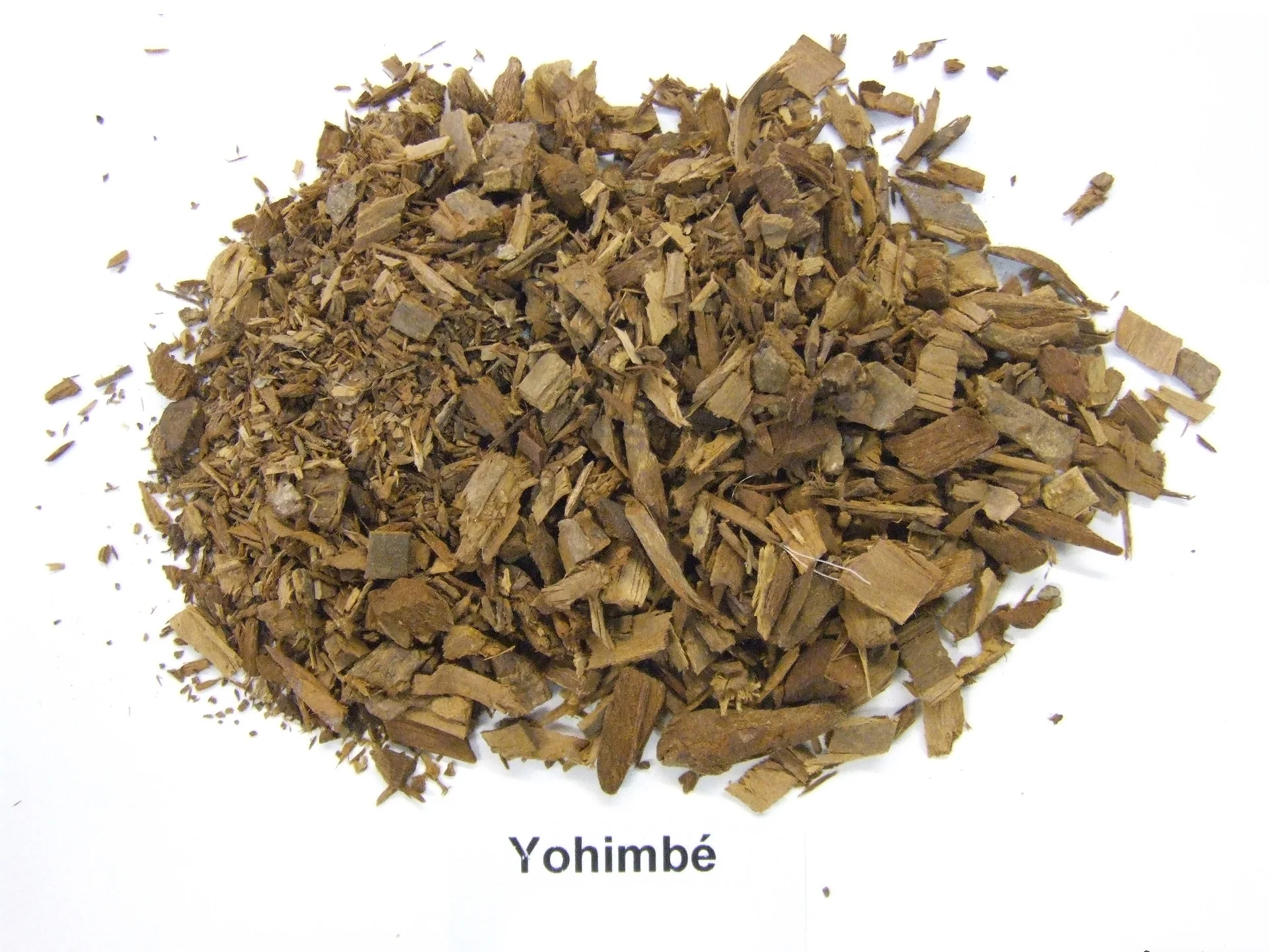 Yohimbe.jpg