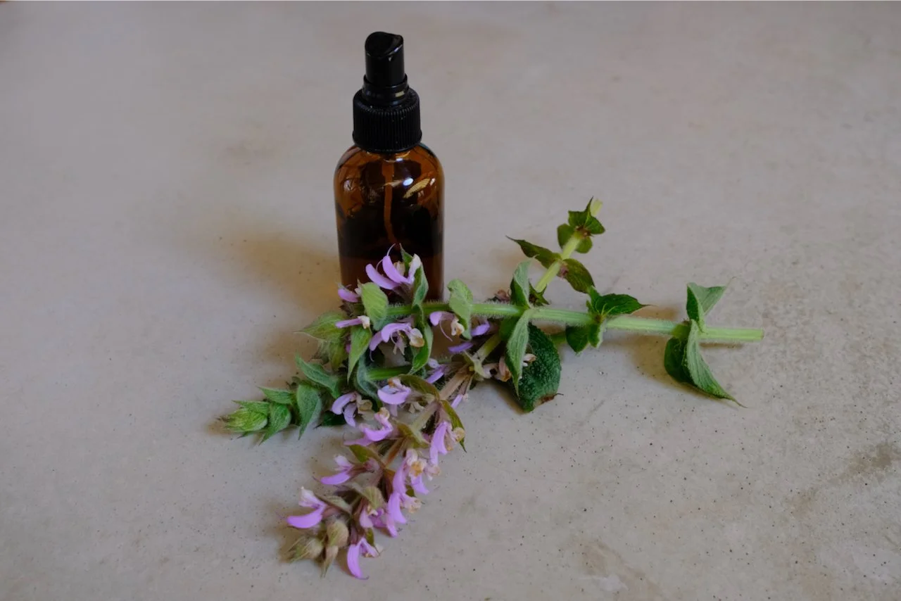 MO Webstore  - Clary Sage.jpeg