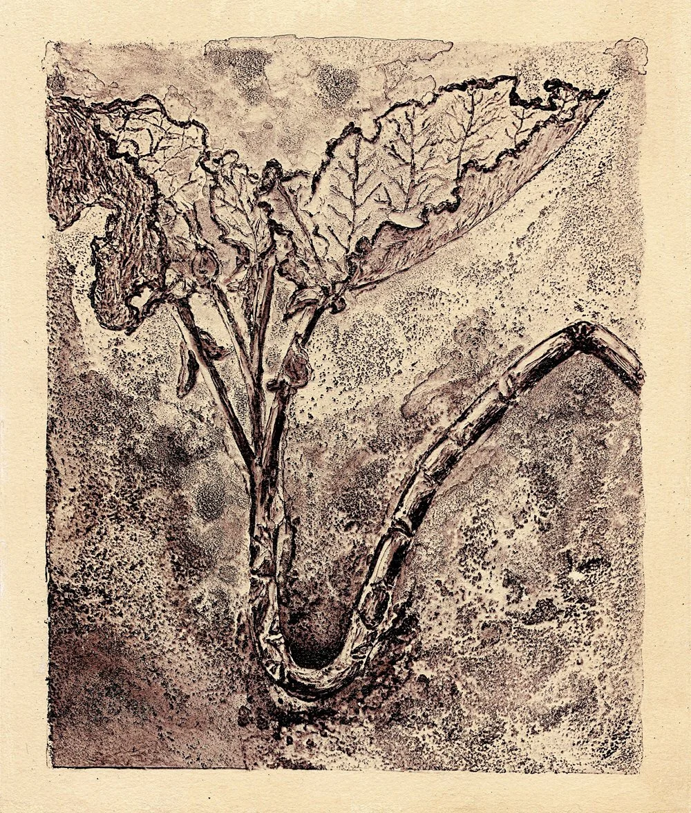 Cosmic Body of Tree Collard.jpg