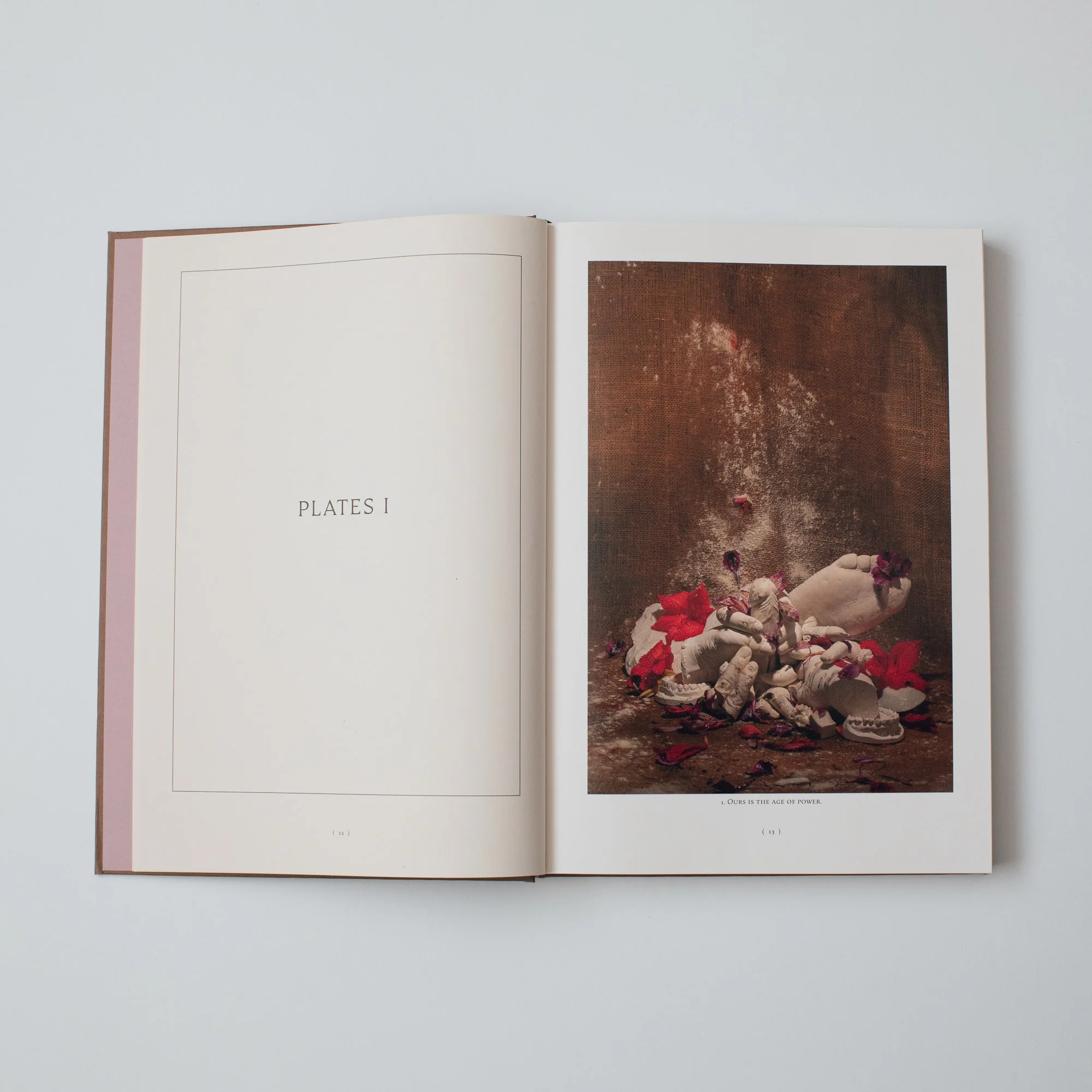 Book Images -2.jpg