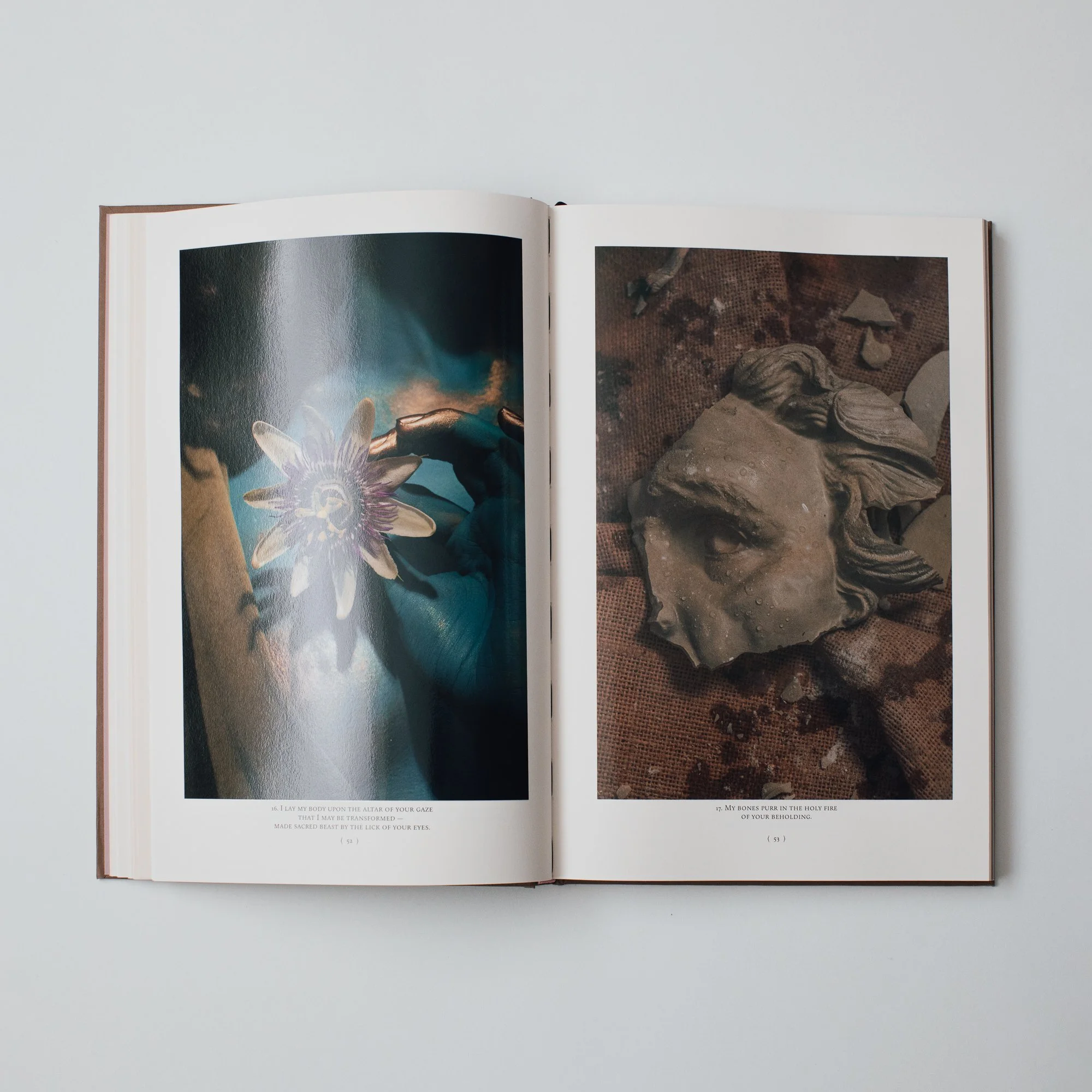 Book Images -8.jpg