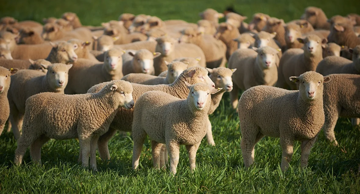Farm Safe Practices