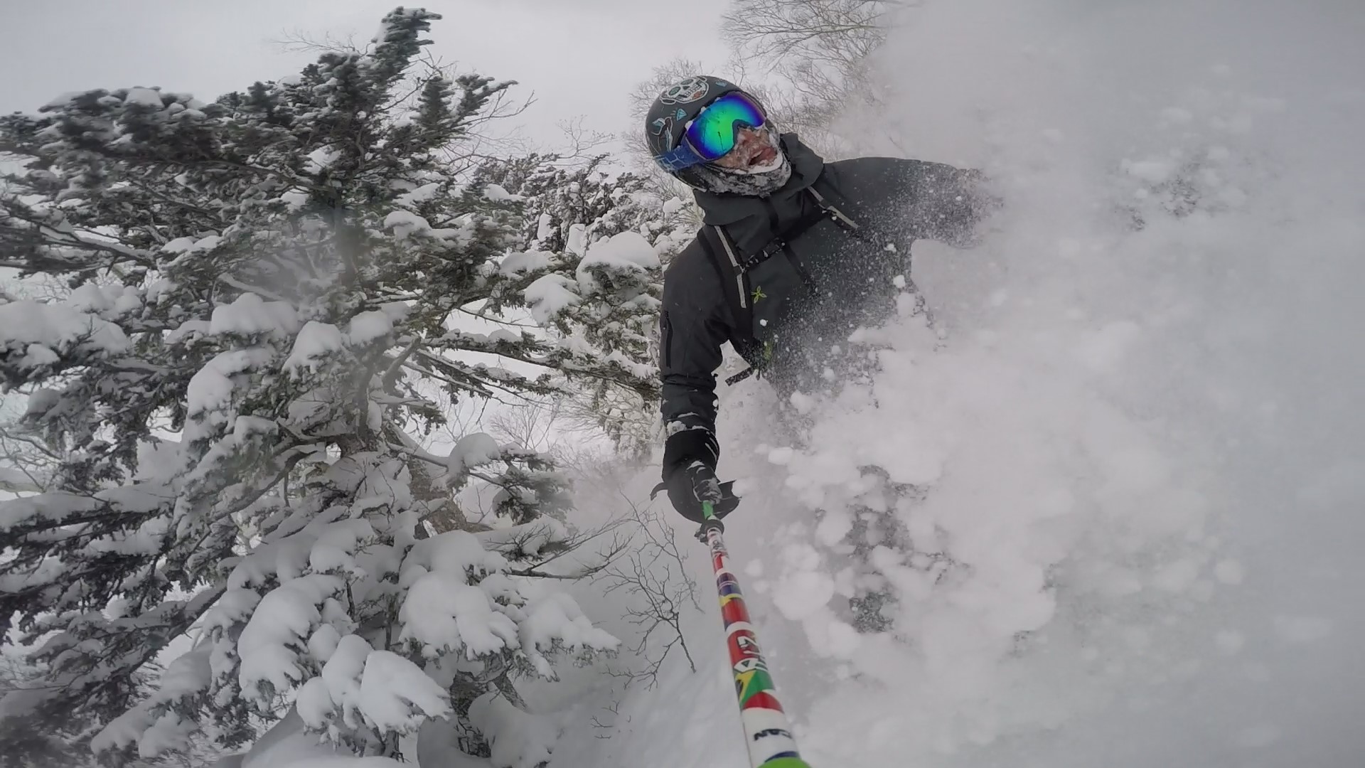 powder.jpg