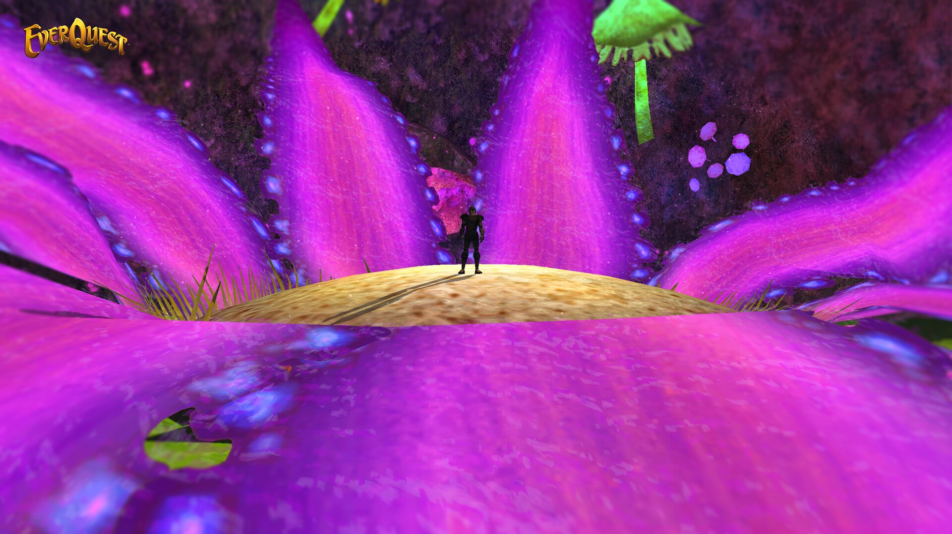 kevin-maginnis-darklightcaverns-7-copy.jpg