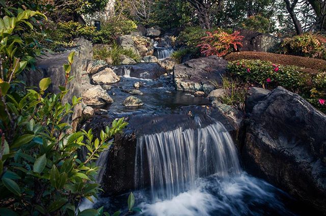 A little waterfall in a little shrine in Asakusa