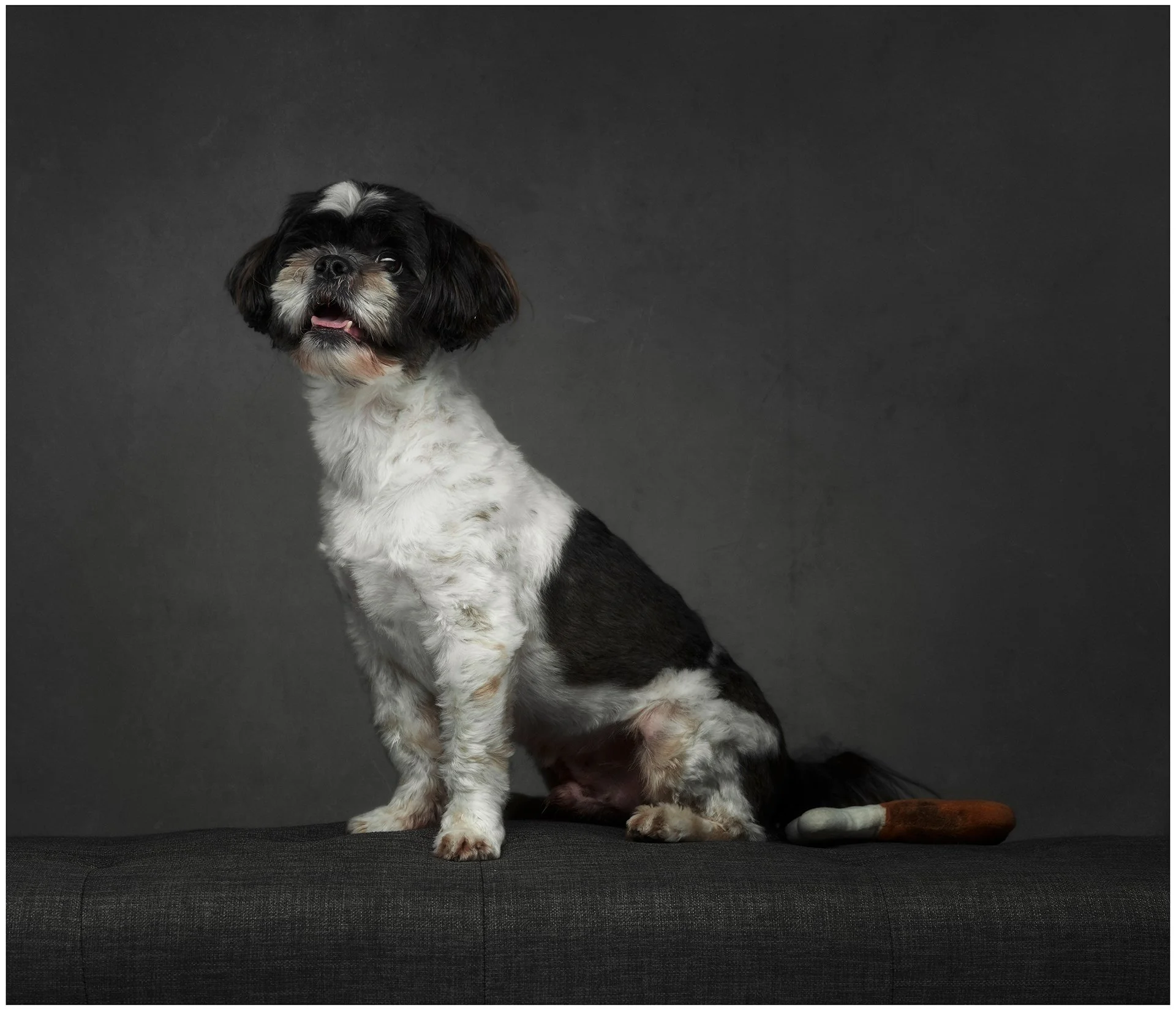 SOKOSHOTS PATCHES48.jpg