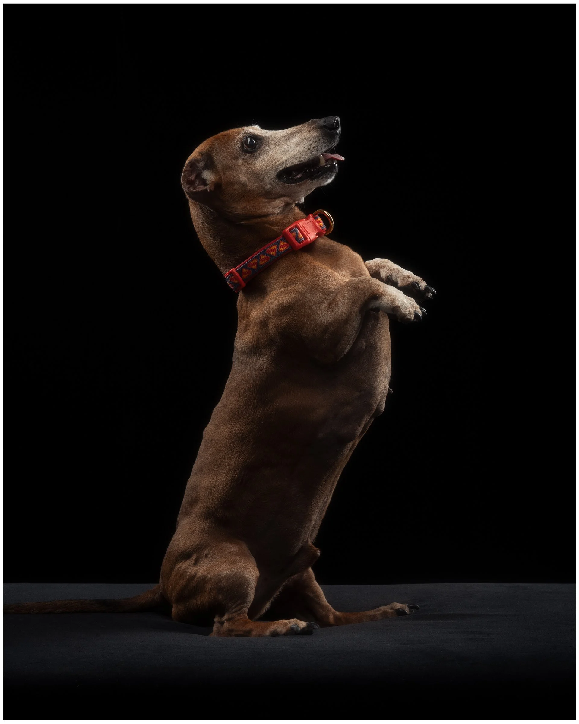 SOKOSHOTS PUDDY4.jpg