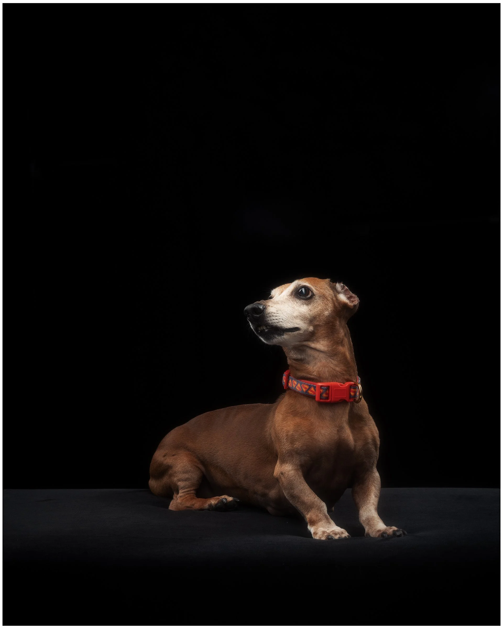 SOKOSHOTS PUDDY12.jpg