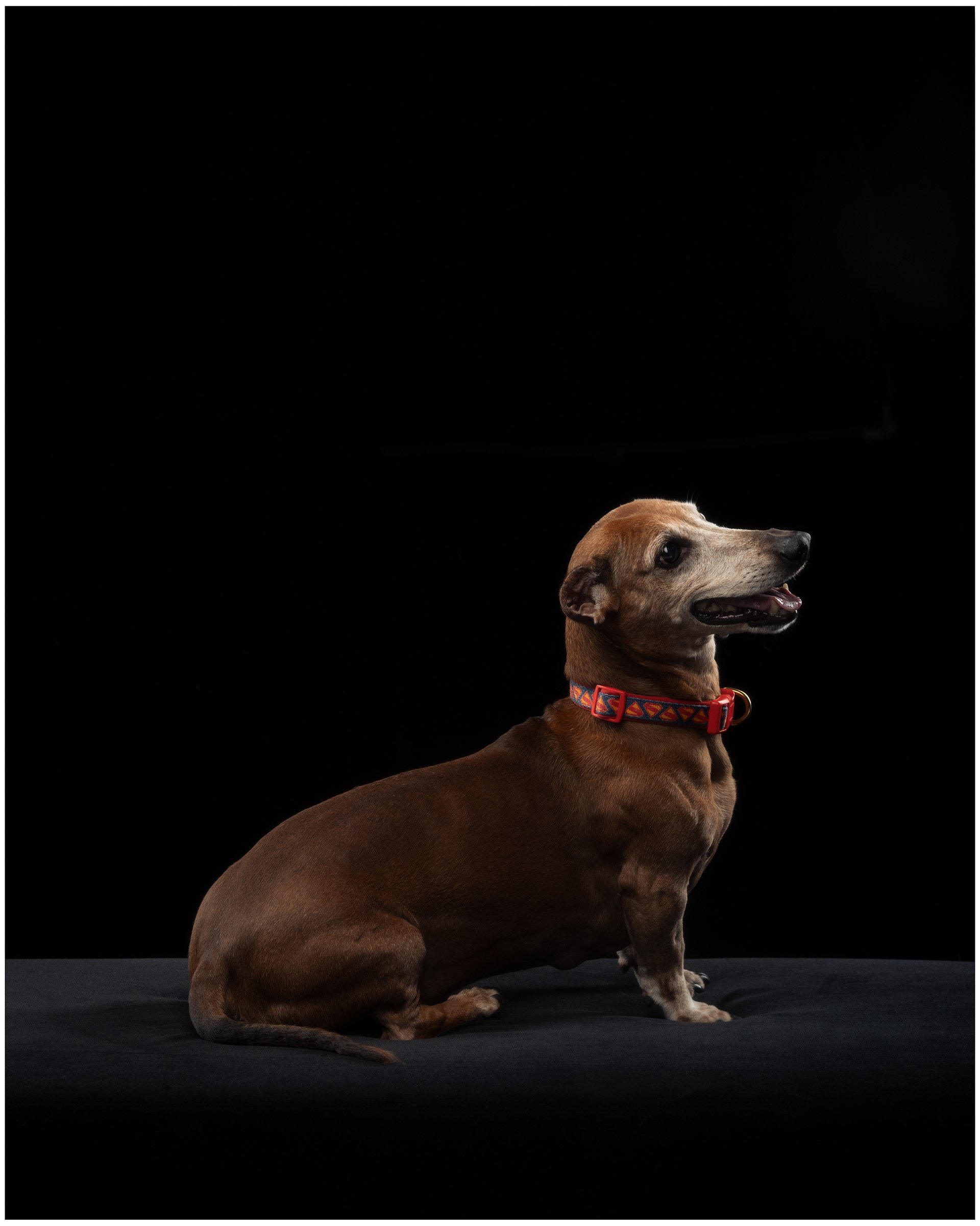 SOKOSHOTS PUDDY16.jpg