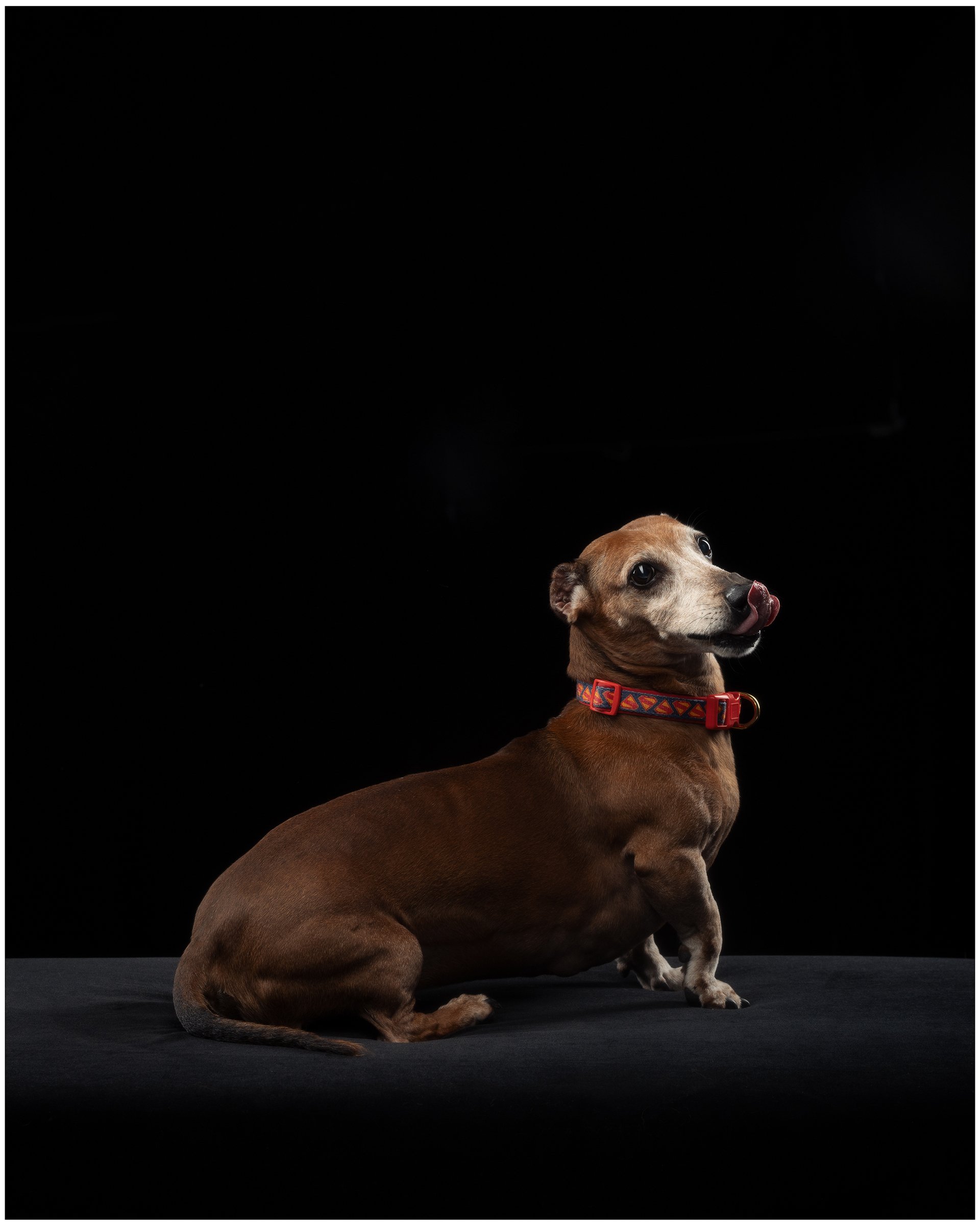 SOKOSHOTS PUDDY18.jpg