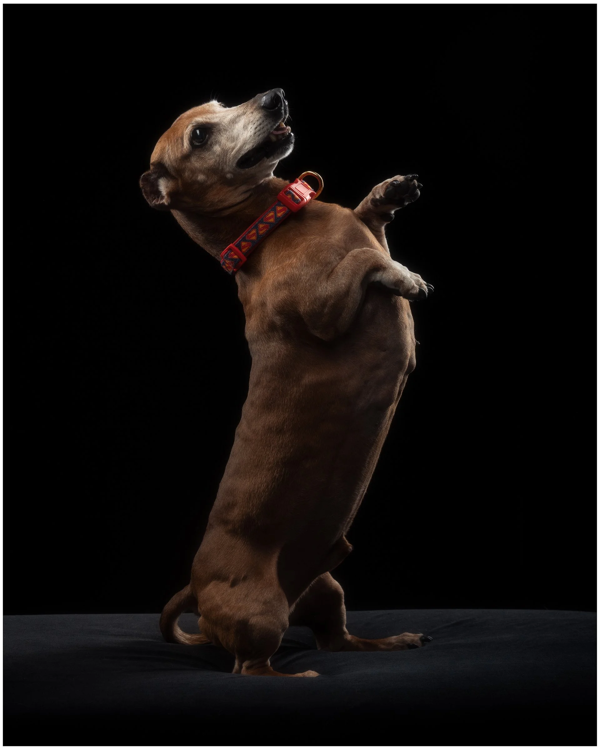 SOKOSHOTS PUDDY24.jpg