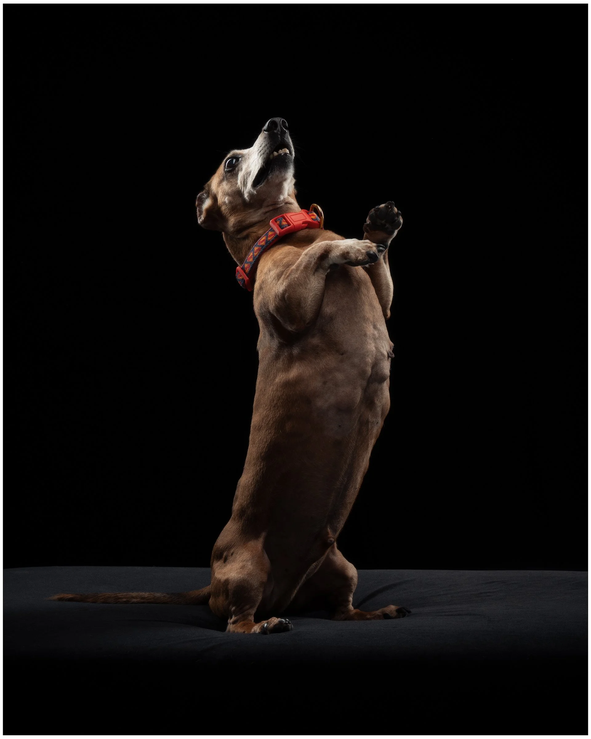 SOKOSHOTS PUDDY28.jpg
