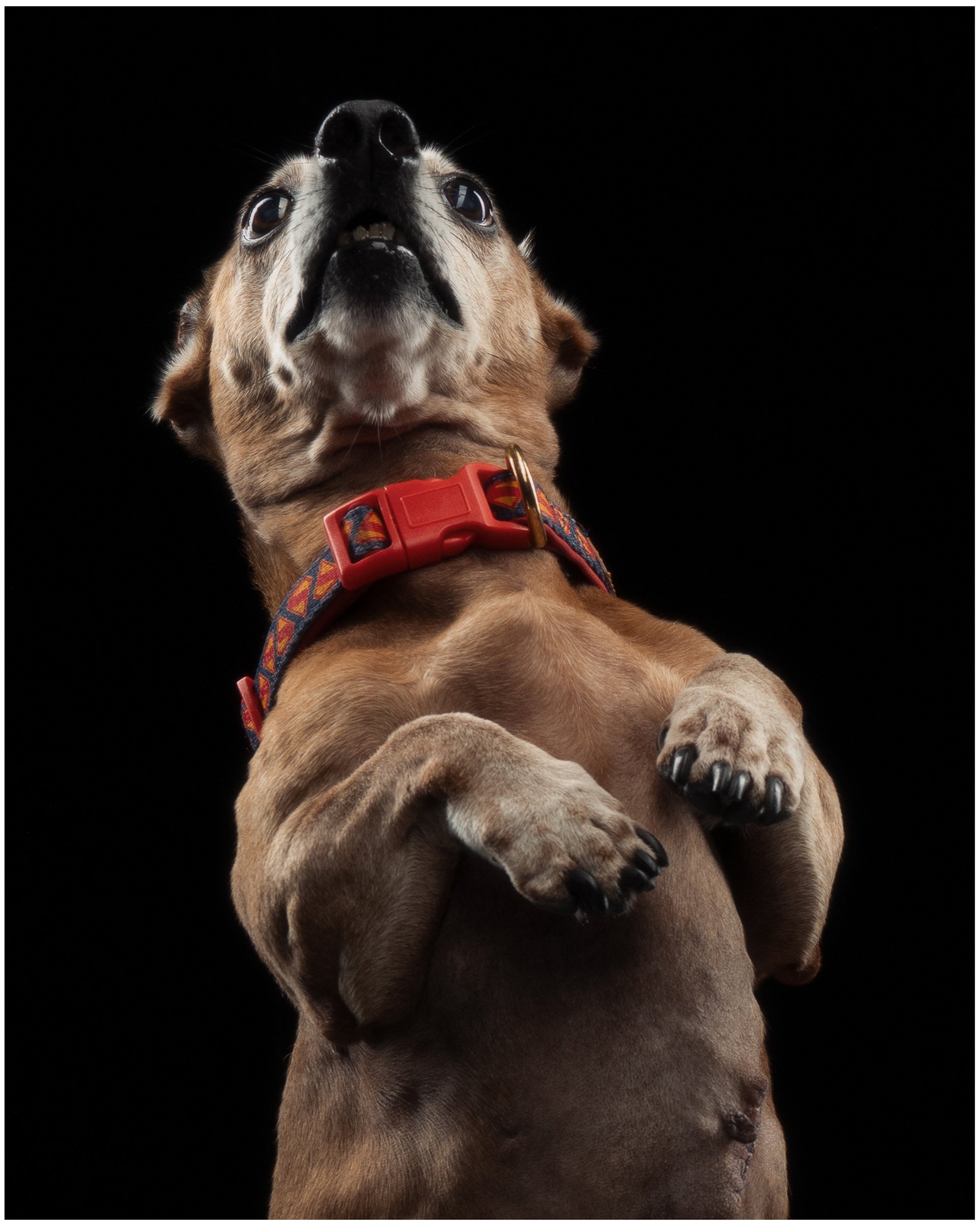 SOKOSHOTS PUDDY69.jpg