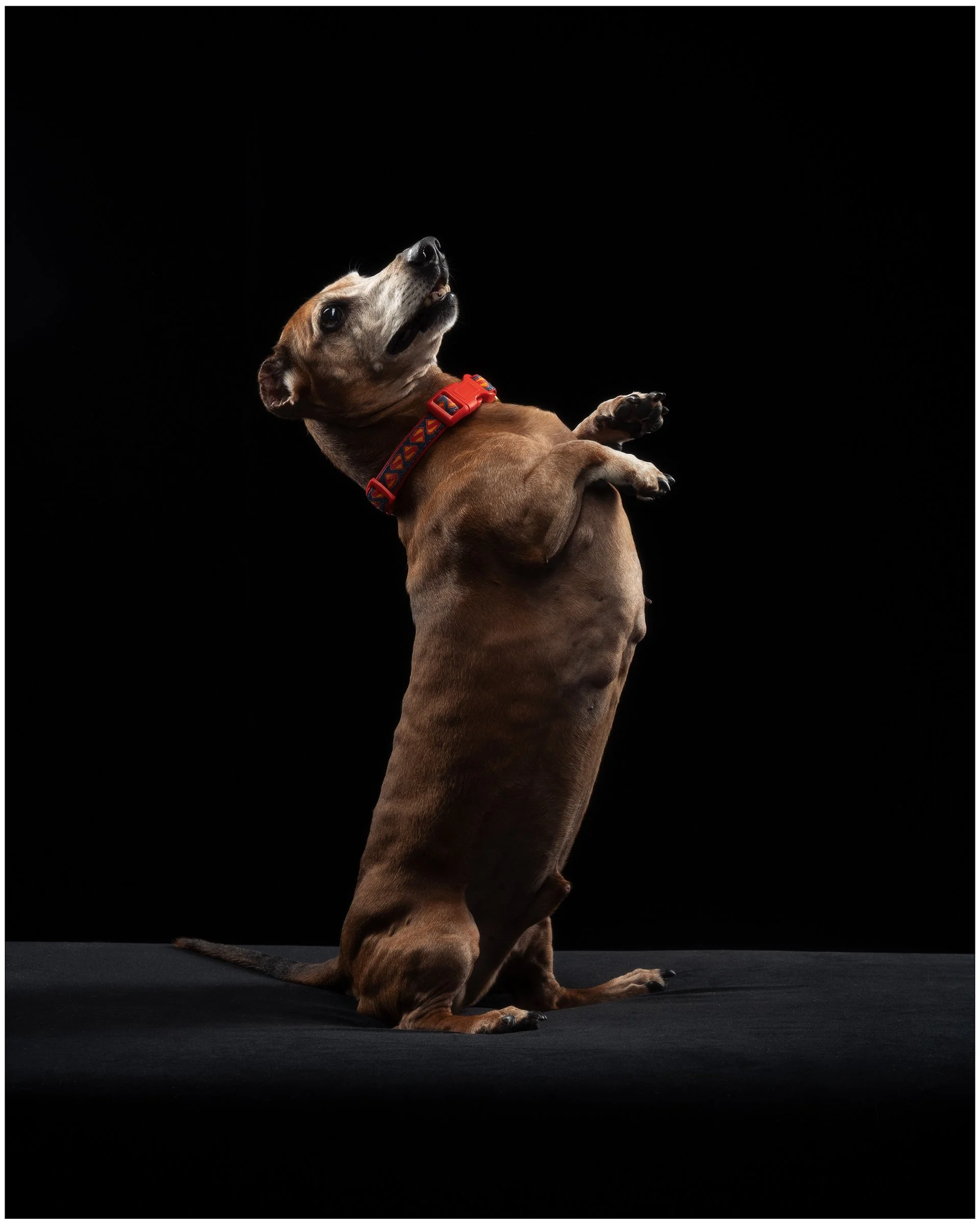 SOKOSHOTS PUDDY79.jpg