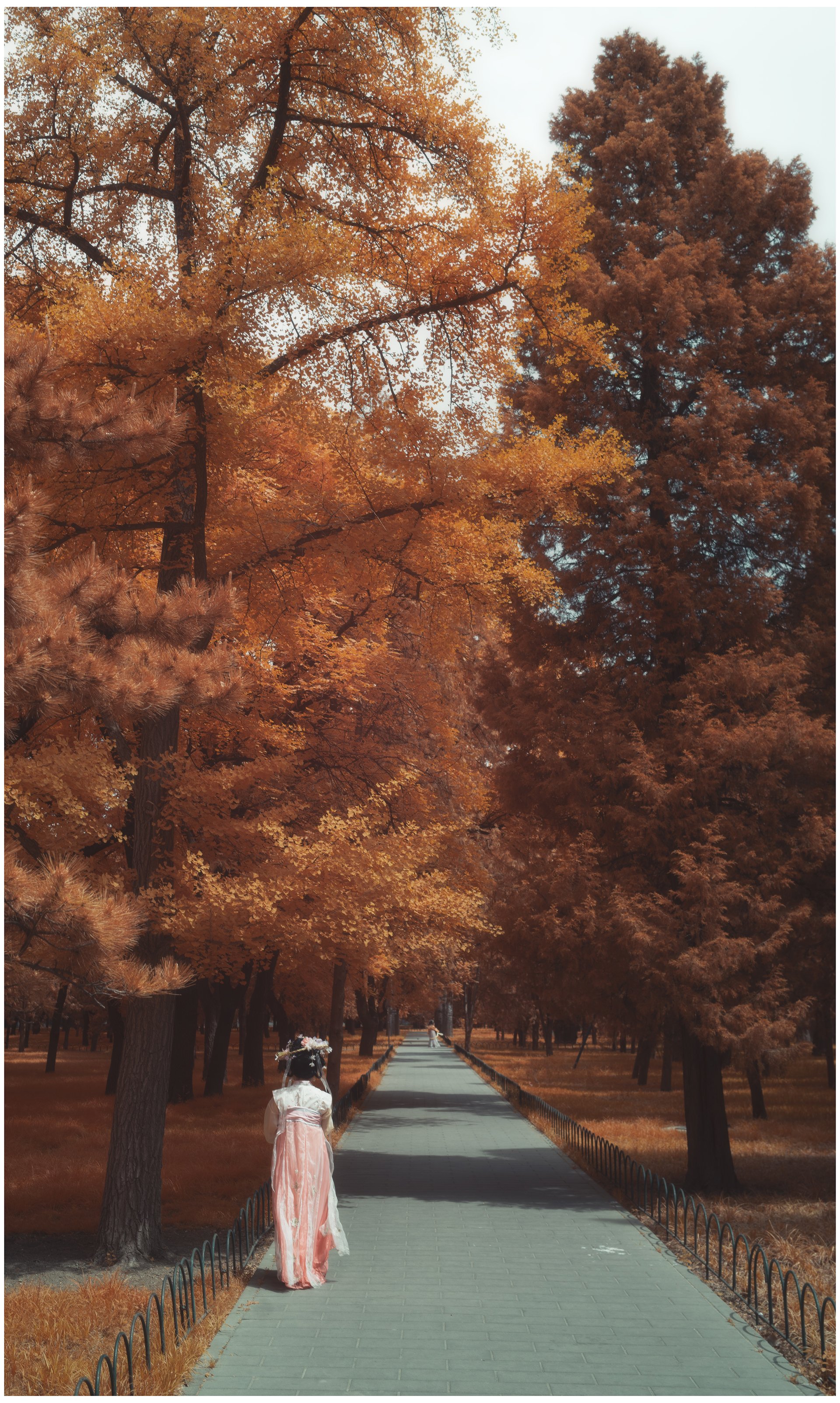 beijing14.jpg