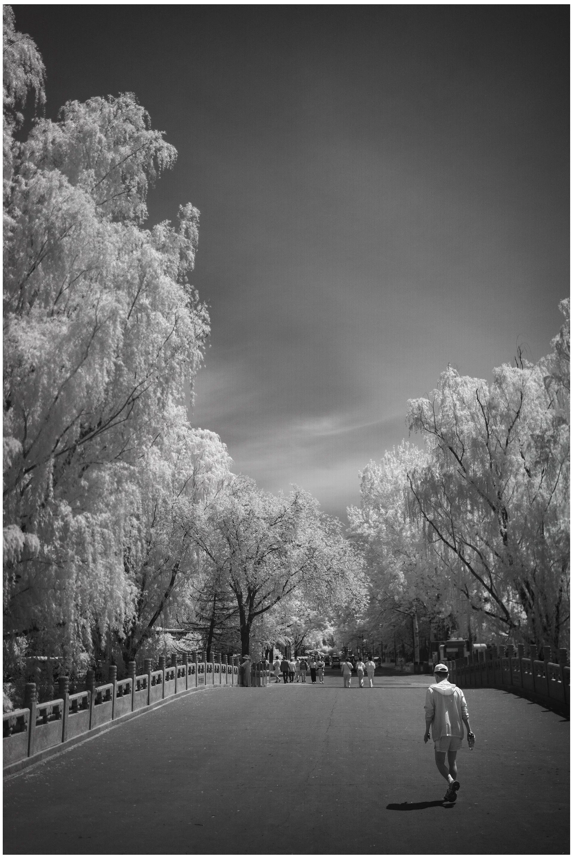 beijing15.jpg