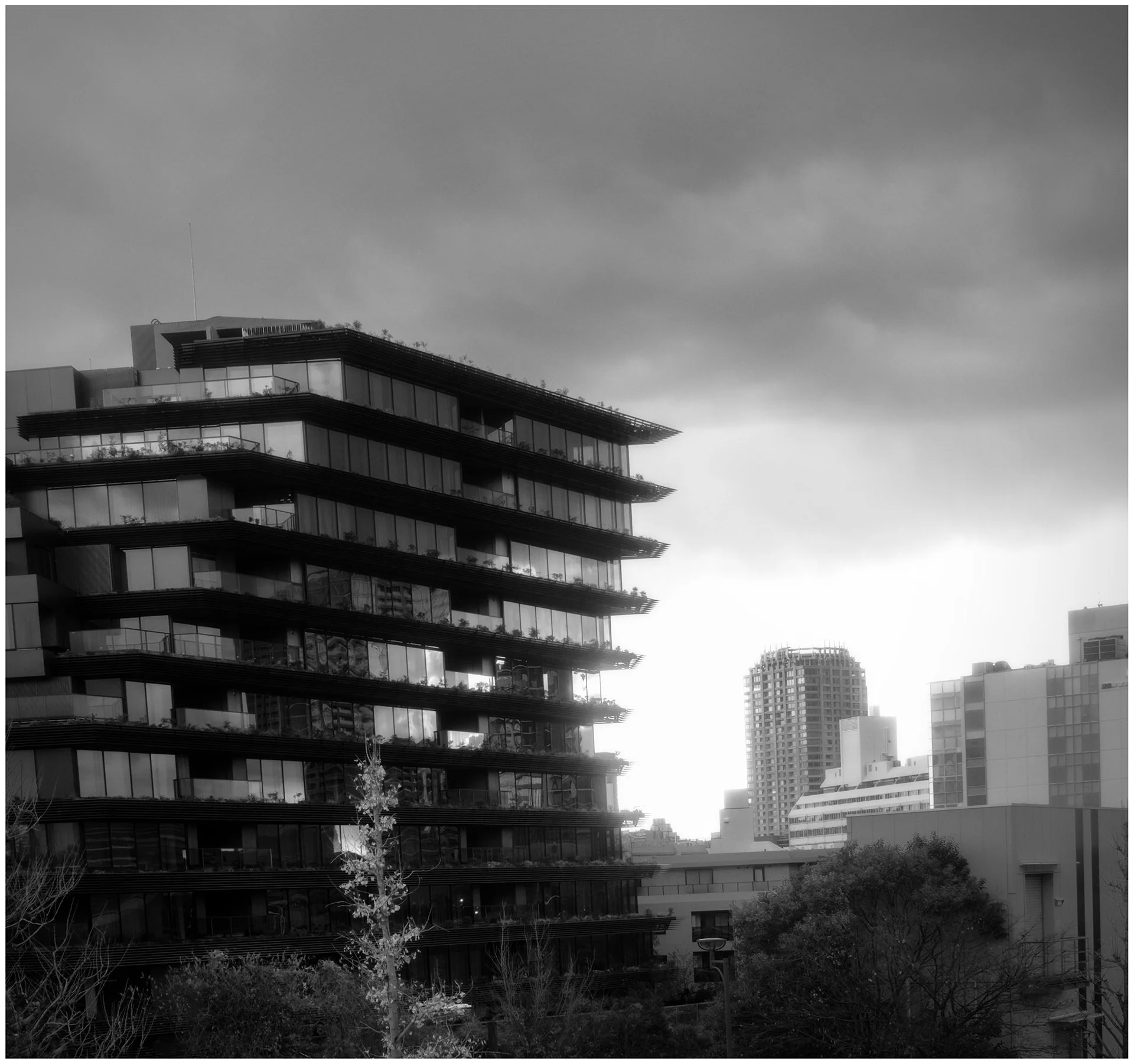 DSCF5719-Edit.jpg