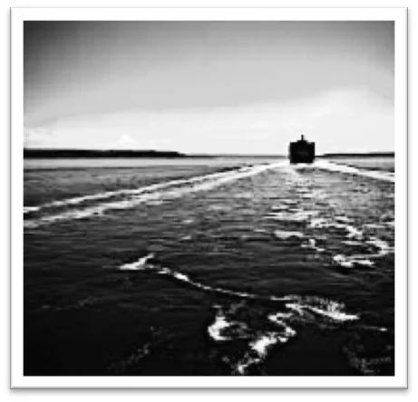 StrengthsFinder Sinagpore - Miss the Boat.jpg