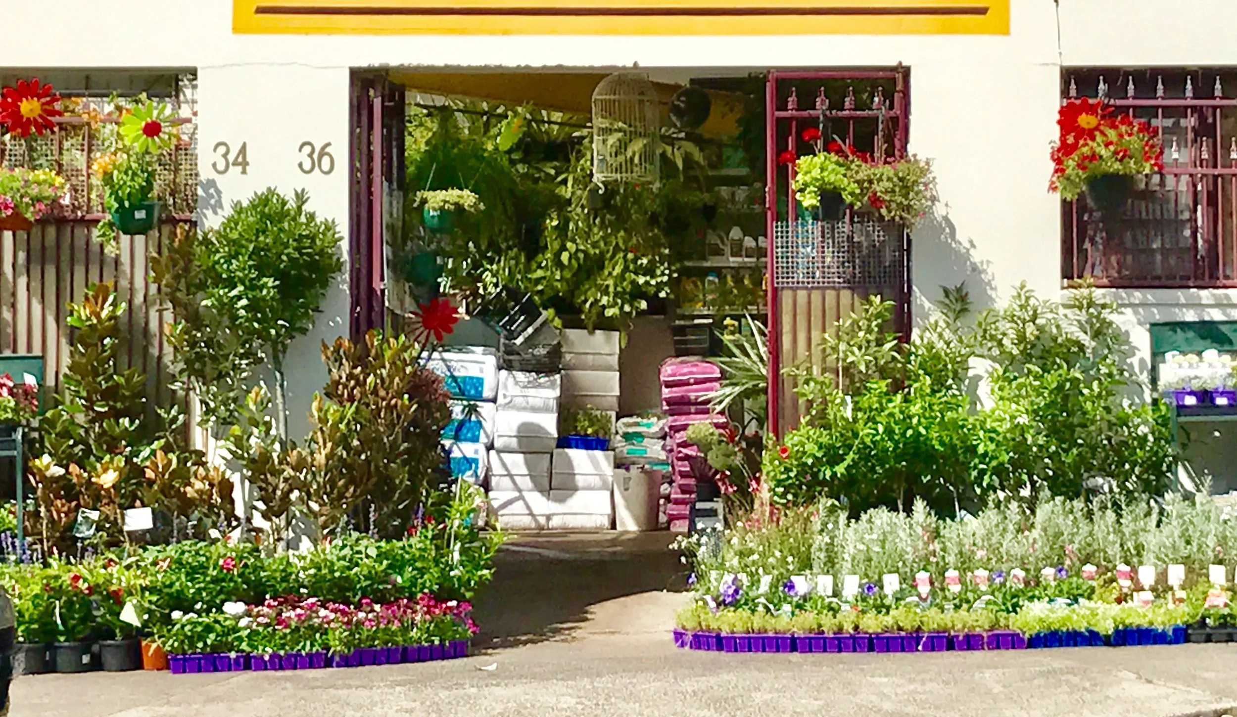 AVD garden centre.jpeg