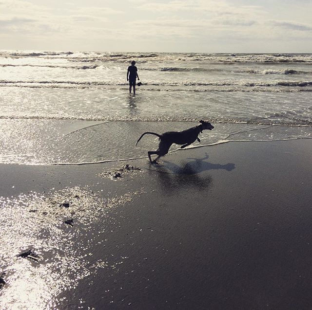 Boy, Sea and dog.