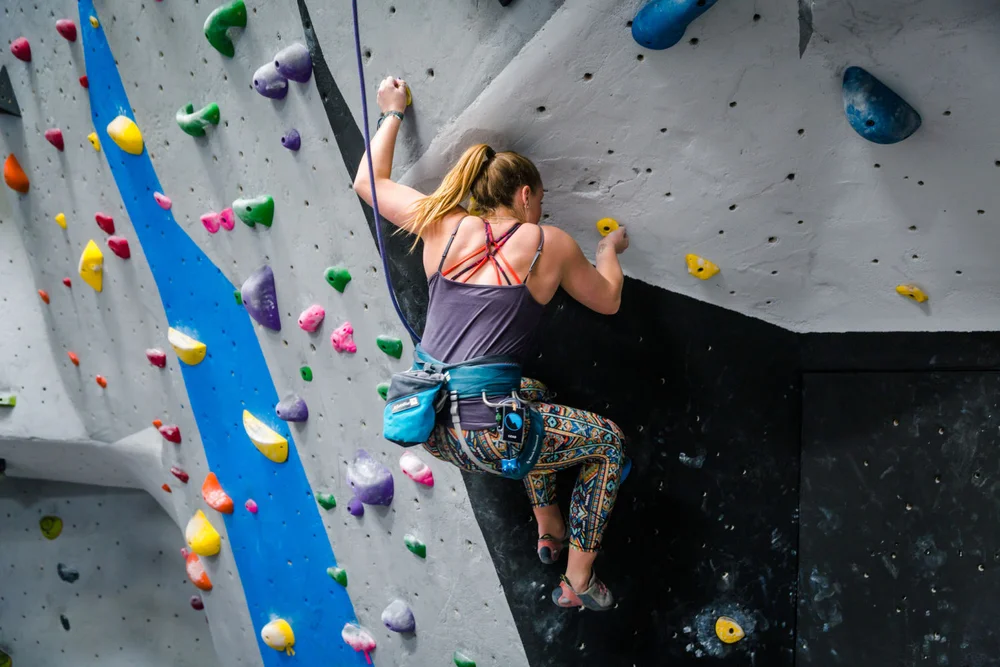 Vertical Rock Climbing