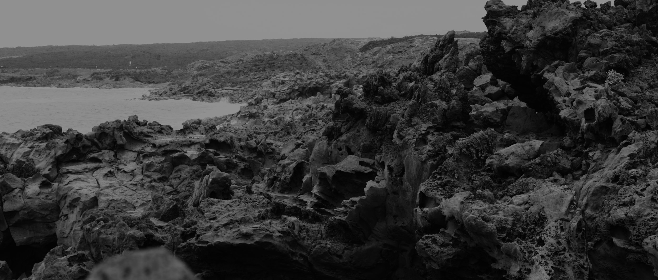 Header_Test.jpg