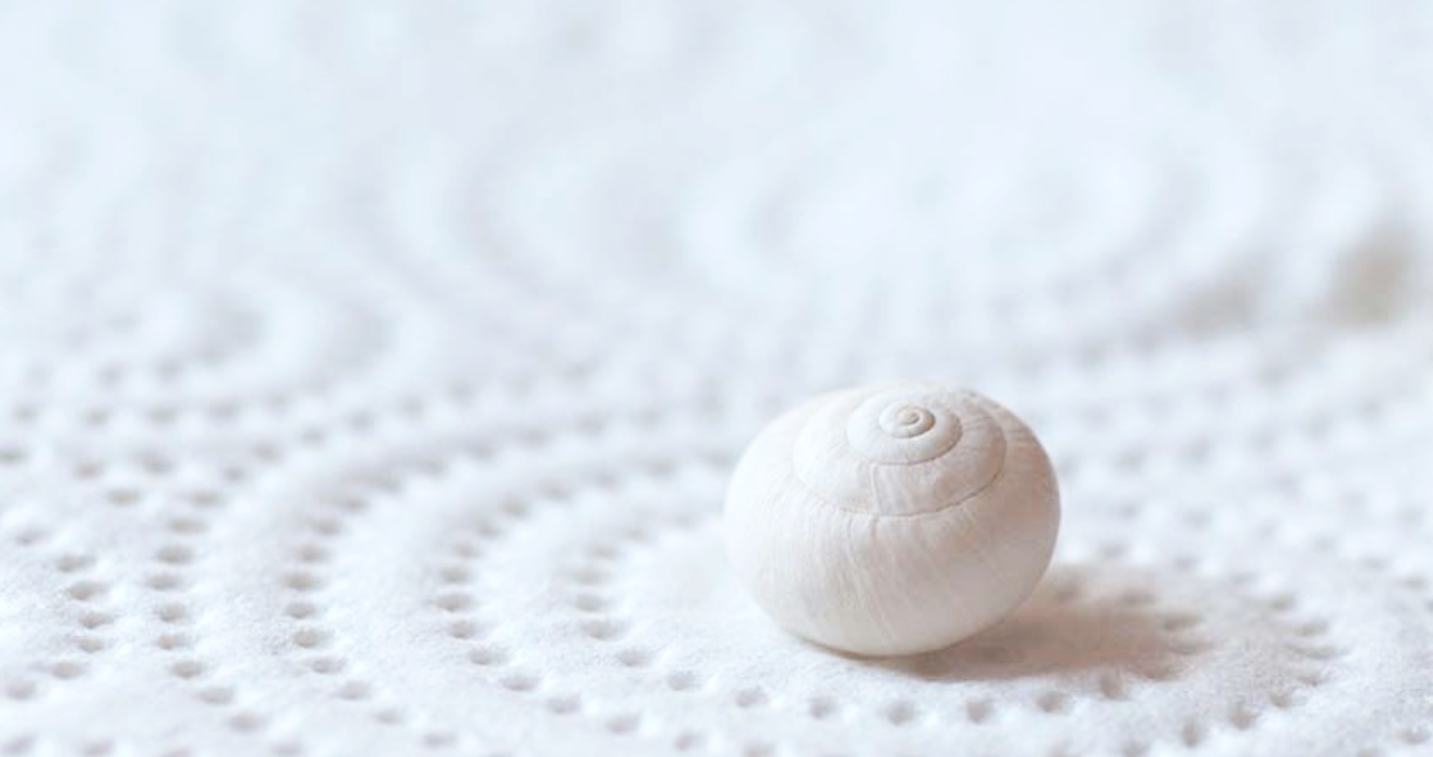 Fotografía de Alicia Clerencia