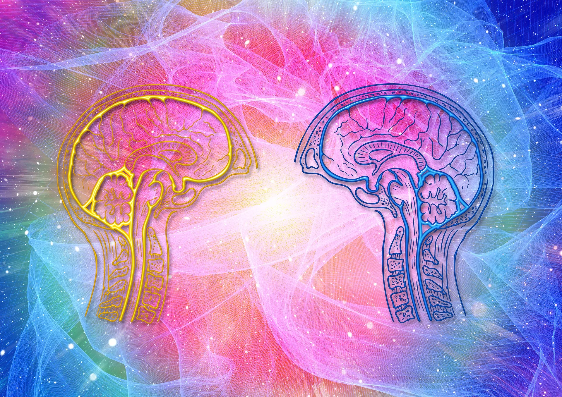 Sistemas Cognitivos - Razón vs Emoción