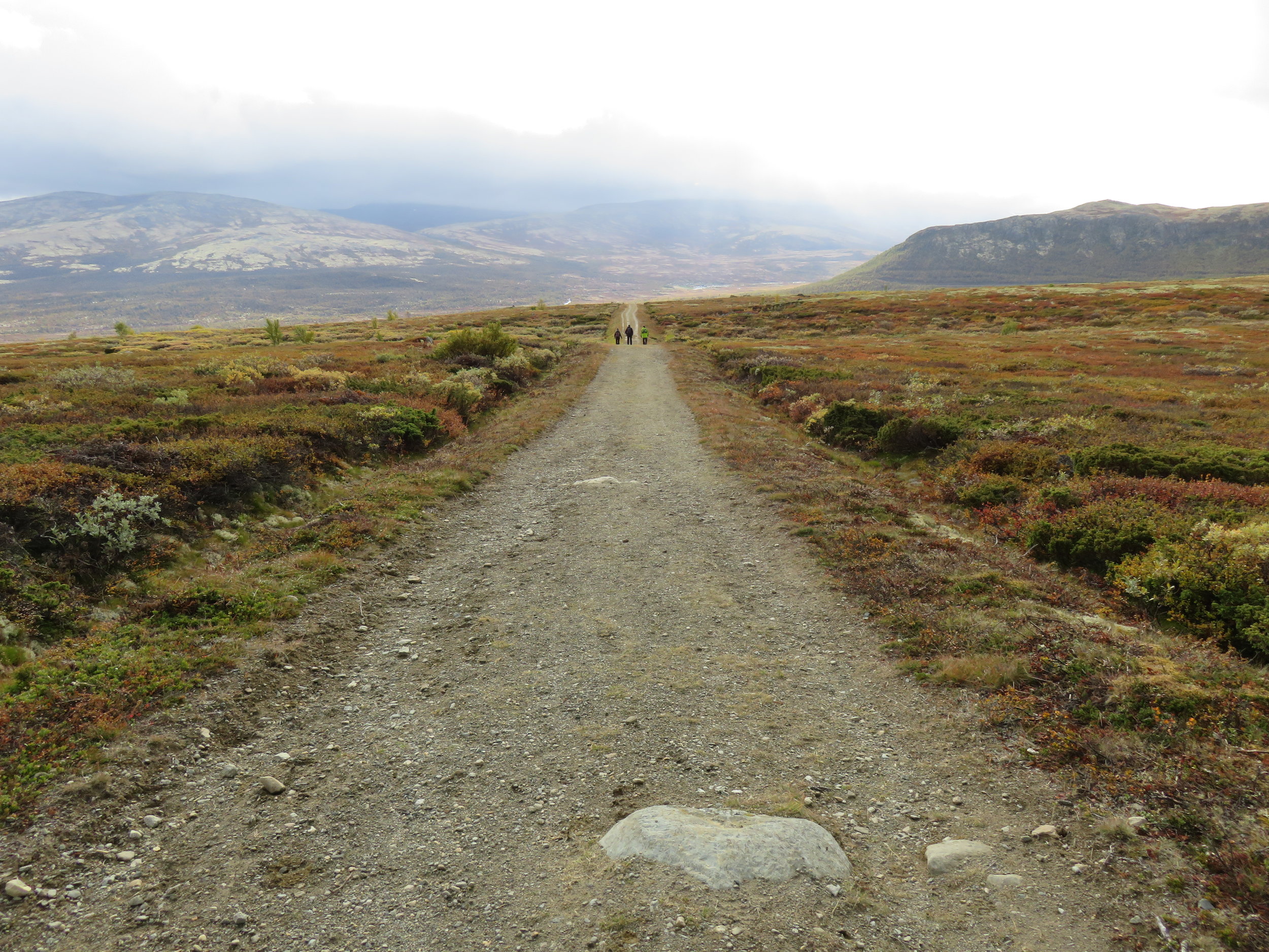 Kongevegen ved Hjerkinnhø, med utsikt mot Hjerkinn og Hageseter. Foto: Ann Kristin Engh