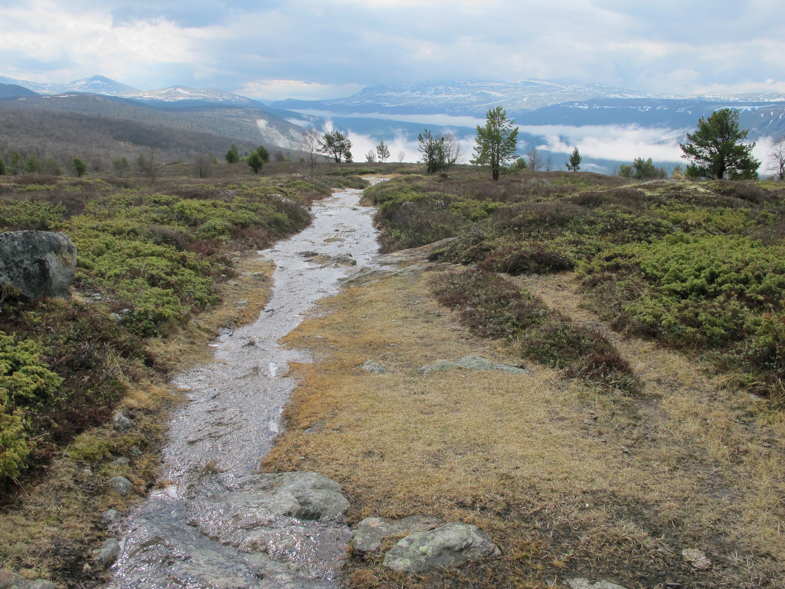 Kongevegen i vårløsningen ved Åteigen, med utstikt mot Dovre. Foto: Ann Kristin Engh